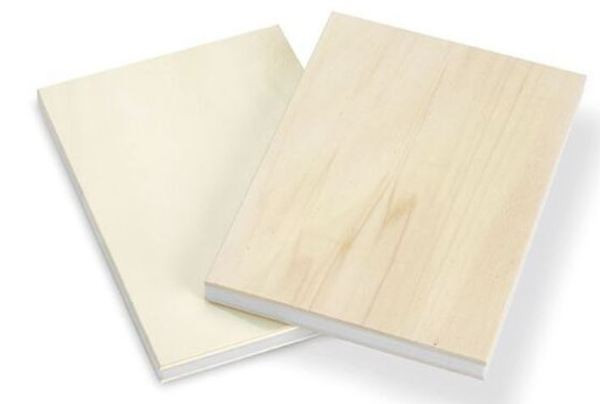 CONTREPLAQUE PEUPLIER INTERIEUR BB/BB ULTRALIGHT AME MOUSSE XPS 3050X1300MM 15MM