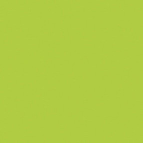 AGGLOMERE MELAMINE EGGER GROUPE 6 VERT POMME U630 ST9 2800X2070MM 19MM