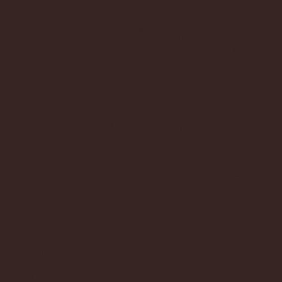 AGGLOMERE MELAMINE EGGER GROUPE 6 BRUN NOIR U989 ST9 2800X2070MM 19MM FILME 1 FACE