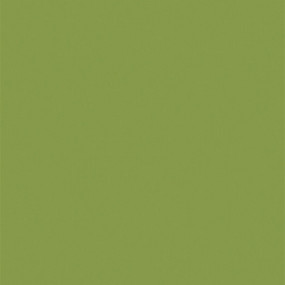 AGGLOMERE MELAMINE EGGER GROUPE 7 VERT KIWI U626 ST9 2800X2070MM 19MM