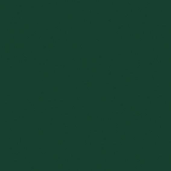 AGGLOMERE MELAMINE EGGER GROUPE 7 VERT SAPIN U606 ST9 2800X2070MM 19MM