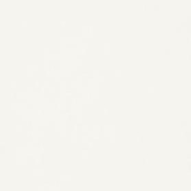AGGLOMERE MELAMINE EGGER GROUPE 2 BLANC CLASSIQUE W960 ST7 2800X2070MM 19MM