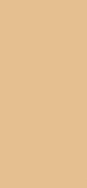 AGGLOMERE MELAMINE EGGER GROUPE 6 JAUNE SABLE U125 ST9 2800X2070MM 19MM