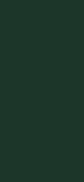 AGGLOMERE MELAMINE EGGER GROUPE 6 VERT FONCE U699 ST9 2800X2070MM 19MM FILME 1 FACE
