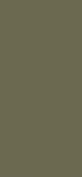AGGLOMERE MELAMINE EGGER GROUPE 6 VERT AGAVE U645 ST9 2800X2070MM 19MM FILME 1 FACE