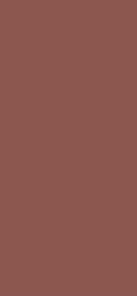 AGGLOMERE MELAMINE EGGER GROUPE 6 ROUGE OXYDE U335 ST9 2800X2070MM 19MM