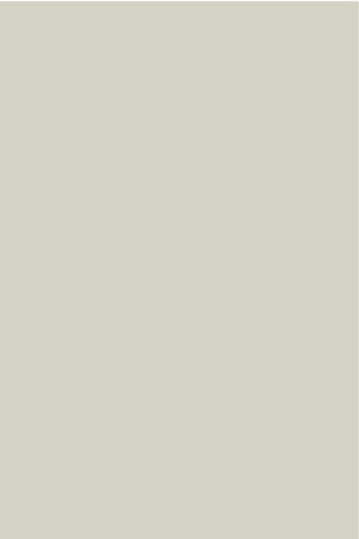 AGGLOMERE MELAMINE POLYREY CLASSIQUE GRIS PALOMA O149 FA 2800X2070MM 8MM 824292