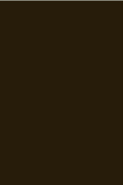 AGGLOMERE MELAMINE POLYREY CLASSIQUE NOIR 005 FA 2800X2070MM 16MM FILME 1 FACE 824275
