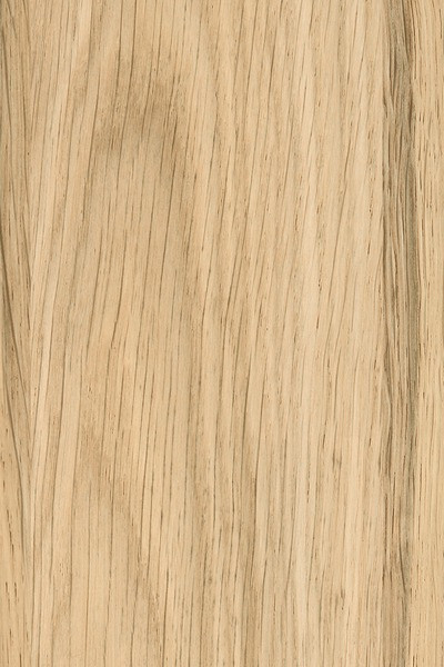 AGGLOMERE MELAMINE POLYREY TENDANCE BOIS CHENE PYLA C148 LIM 2800X2070MM 19MM 836391