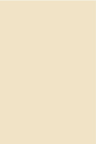 AGGLOMERE MELAMINE POLYREY TENDANCE UNIS COQUILLE DOEUF C017 FA 2800X2070MM 19MM 824088