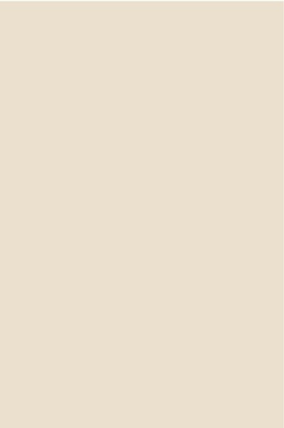 AGGLOMERE MELAMINE POLYREY TENDANCE UNIS ECRU E021 FA 2800X2070MM 19MM 824097