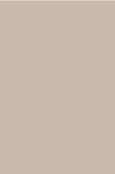 AGGLOMERE MELAMINE POLYREY TENDANCE UNIS GALET G077 FA 2800X2070MM 19MM 836363
