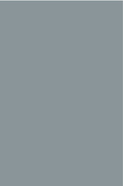 AGGLOMERE MELAMINE POLYREY TENDANCE UNIS GRIS CENDRE G075 FA 2800X2070MM 19MM FILME 1 FACE 834191