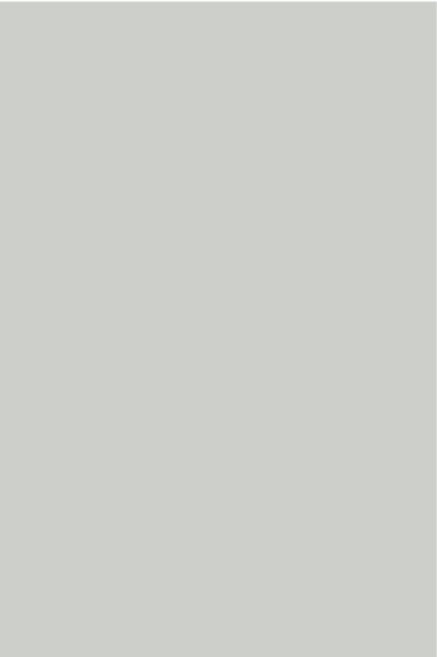 AGGLOMERE MELAMINE POLYREY TENDANCE UNIS GRIS DAUPHIN G044 FA 2800X2070MM 19MM 824112