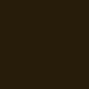 AGGLOMERE MELAMINE POLYREY TENDANCE UNIS NOIR N005 FA 2800X2070MM 19MM FILME 2 FACES 824369