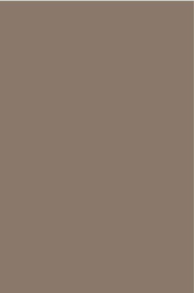 AGGLOMERE MELAMINE POLYREY TENDANCE UNIS PIERRE DE LUNE P001 FA 2800X2070MM 19MM FILME 2 FACES 824401