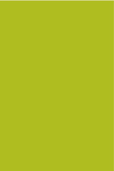 AGGLOMERE MELAMINE POLYREY TENDANCE UNIS POMME VERTE P092 FA 2800X2070MM 19MM FILME 1 FACE 828158