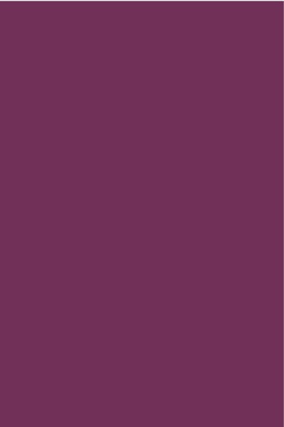 AGGLOMERE MELAMINE POLYREY TENDANCE UNIS PRUNE P112 FA 2800X2070MM 19MM FILME 2 FACES 834434