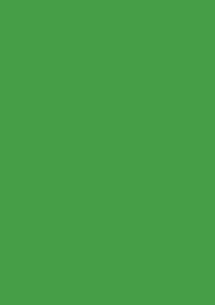 AGGLOMERE MELAMINE POLYREY TENDANCE UNIS VERT BALI V109 FA 2800X2070MM 19MM 836124