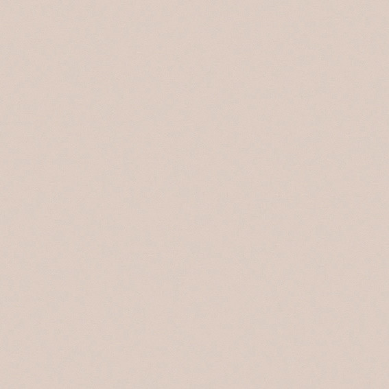 SUPERPAN MELAMINE FINSA GROUPE 1 GRIS COCO 15R SOFT III 2850X2100MM 19MM - E05 40561298