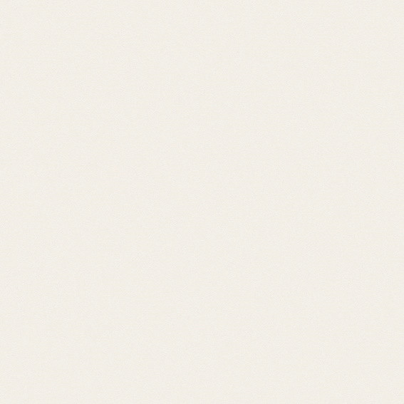 SUPERPAN MELAMINE FINSA GROUPE 2 78E WHITE SR209 SOFT III 2850X2100MM 19MM - E05  40367953