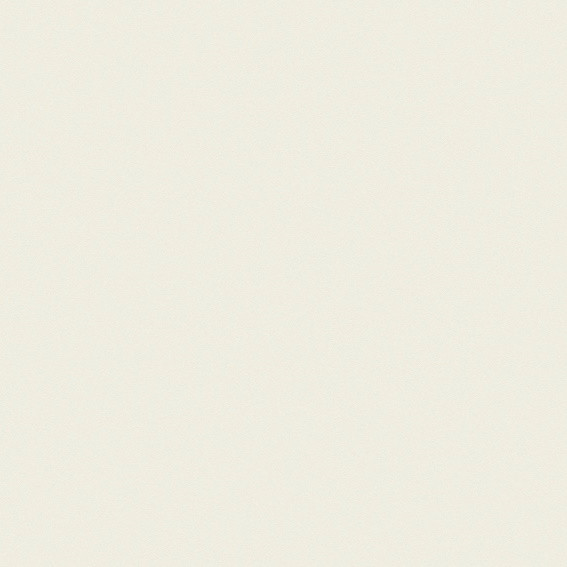 SUPERPAN MELAMINE FINSA GROUPE 2 BLANCO POLAR 060 SOFT III 2850X2100MM 19MM - E05  40561249