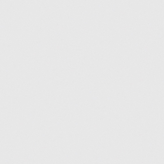 SUPERPAN MELAMINE FINSA GROUPE 3 BLANCO ARTICO 040 SOFT III 2850X2100MM 19MM - E05  40561256
