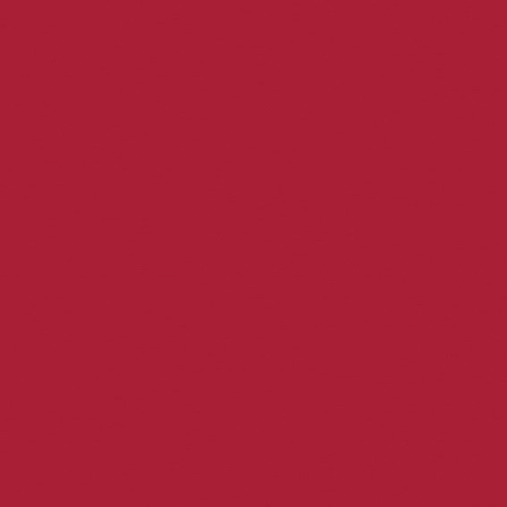 SUPERPAN MELAMINE FINSA GROUPE 5 ROJO POMPEYA 2AU SOFT III 2850X2100MM 19MM - E05  41012818