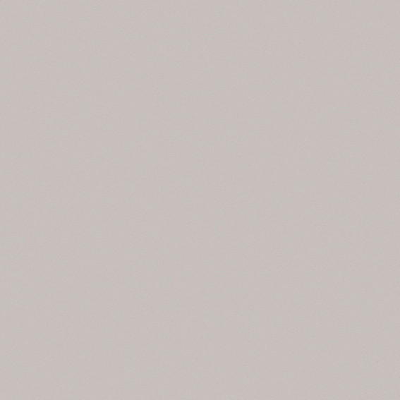 SUPERPAN MELAMINE FINSA GROUPE 0 NATURAL GREY U12 SOFT III 19MM 2850X2100MM 19MM  - E05  40561290
