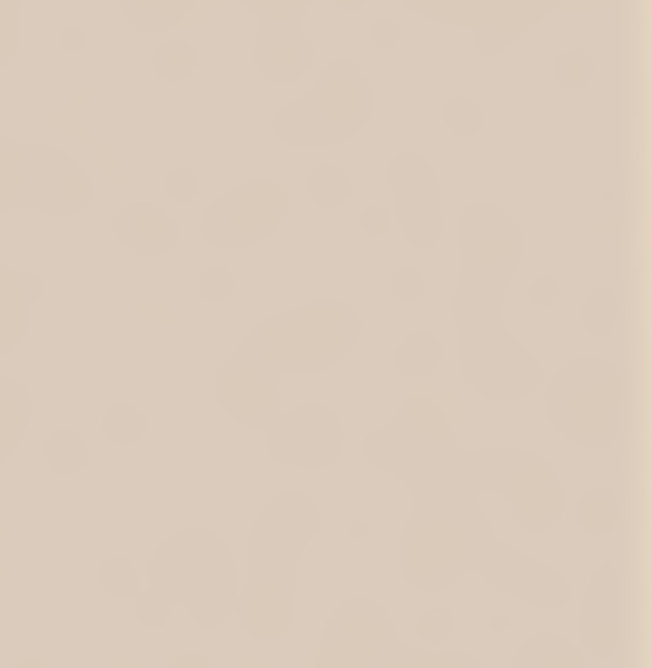 AGGLOMERE MELAMINE PFLEIDERER ACCESS BEIGE SABLE U16003 SD 2800X2100MM 19MM