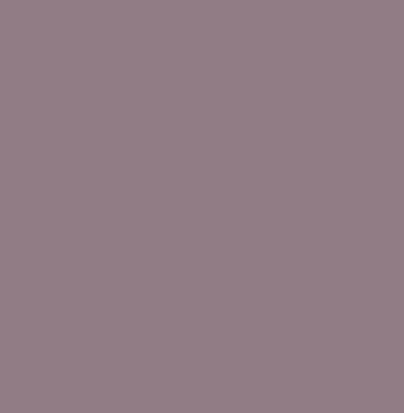 AGGLOMERE MELAMINE PFLEIDERER UNI PREMIUM PRUNE U17505 SD 2800X2100MM 19MM