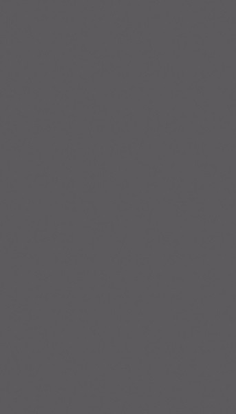 SUPERPAN TECHNICAL MATT FINSA TITAN 1 FACE ANTI-TRACE POUR APPLICATION HORIZONTALE CONTREFACE CPL STD 3050X1220MM 19MM