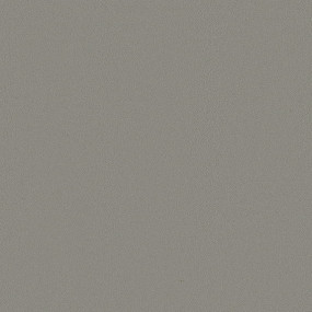 STRATIFIE EGGER GROUPE L3 METALLIC INOX F500 ST20 3050X1310MM 8/10EME
