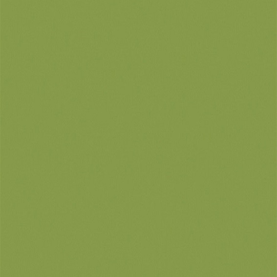STRATIFIE EGGER GROUPE L3 VERT KIWI U626 ST9 3050X1310MM 8/10EME