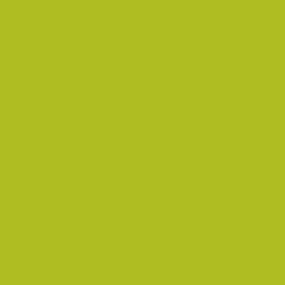 STRATIFIE POLYREY TENDANCE UNIS POMME VERTE P092 BRI 3070X1240MM 8/10 FILME 538392