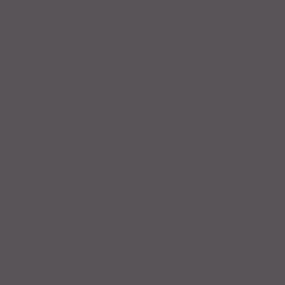STRATIFIE POLYREY CLASSIQUE GRIS ORAGE G059 FA 3070X1240MM 8/10 FILME 524784