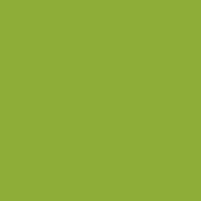 STRATIFIE POLYREY TENDANCE UNIS CACTUS C049 FA 3070X1240MM 8/10 541210