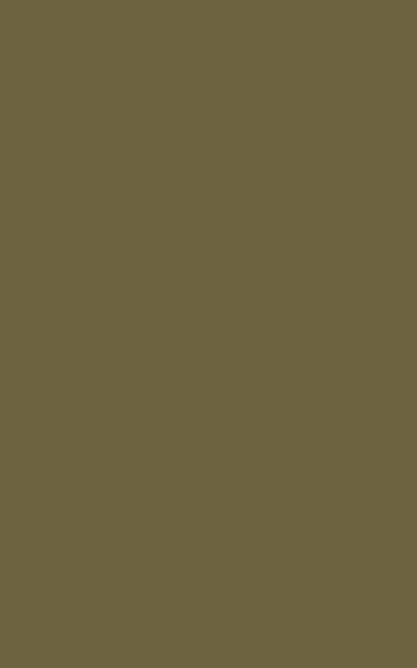 STRATIFIE POLYREY TENDANCE UNIS CAMOUFLAGE C035 FA 3070X1240MM 8/10 537779