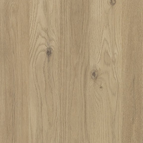 STRATIFIE POLYREY TENDANCE BOIS CHENE DES MASSIFS C179 ESA 3070X1320MM 8/10 549176