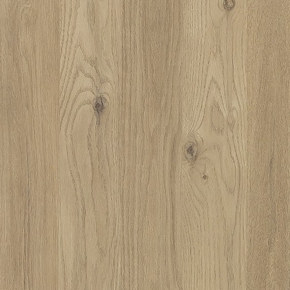 STRATIFIE POLYREY TENDANCE BOIS CHENE DES MASSIFS C179 EXM 3070X1320MM 8/10 548443