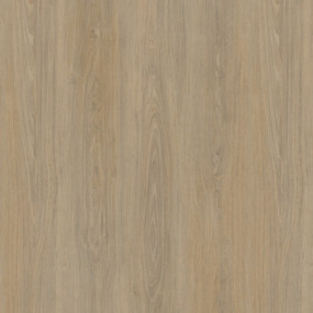 STRATIFIE POLYREY TENDANCE BOIS CHENE QUEBEC C105 EXM 3070X1320MM 8/10 538700