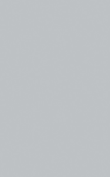 STRATIFIE POLYREY TENDANCE UNIS GRIS TOURTERELLE G029 FA 3070X1240MM 8/10 521088