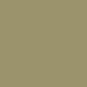 STRATIFIE POLYREY TENDANCE UNIS KAKI K003 FA 3070X1240MM 8/10 537979 FILME