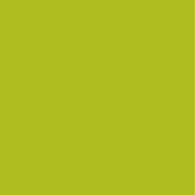 STRATIFIE POLYREY TENDANCE UNIS POMME VERTE P092 FA 3070X1240MM 8/10 526983