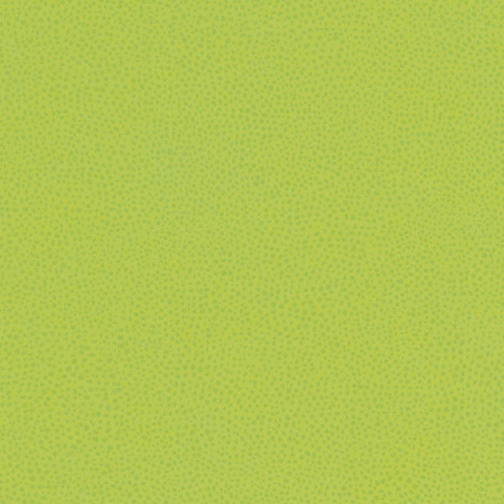 STRATIFIE POLYREY TENDANCE MATIERES ZESTE CITRON VERT Z021 FA 3070X1320MM 8/10 542240