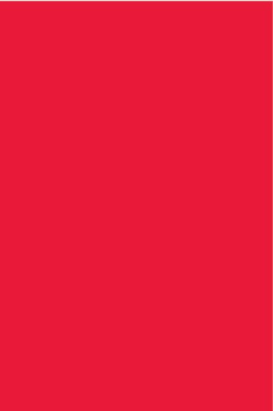 STRATIFIE POLYREY TENDANCE UNIS CAPUCINE C062 FA 3070X1240MM 8/10 FILME 537419