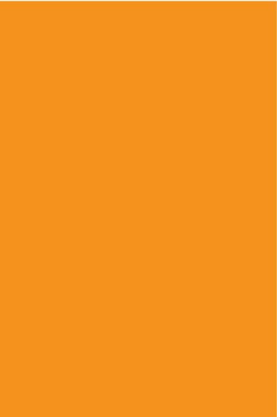 STRATIFIE POLYREY TENDANCE UNIS VINYLE V014 FA 3070X1240MM 8/10 535020
