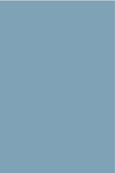 STRATIFIE POLYREY TENDANCE UNIS CEDRE BLEU C118 EXM 3070X1320MM 8/10 FILME 548401