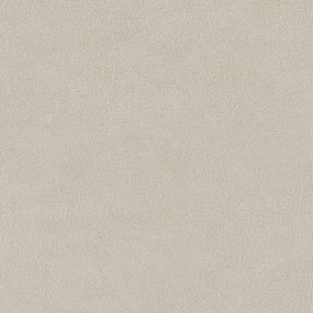 STRATIFIE FINSA GROUPE 4 SELENE GRIS 73Y NUDE 3050X1300MM 8/10EME 40935191