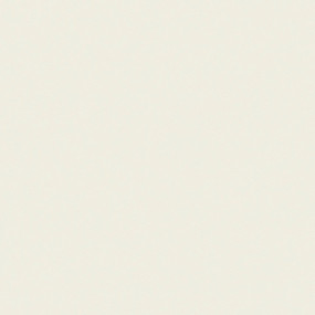 STRATIFIE FINSA GROUPE 2 BLANC POLAR 060 SOFT III 3050X1300MM 8/10EME  40592727